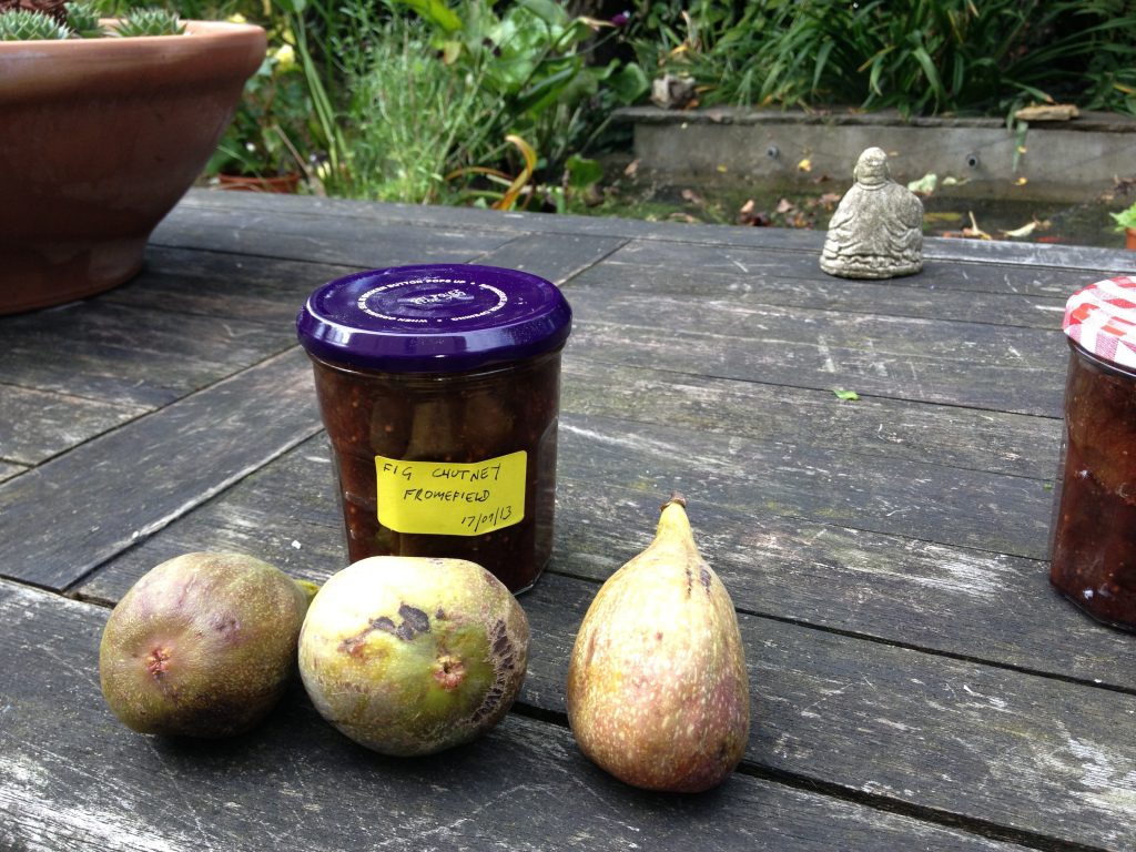 Fruit into jars: preserving the fig