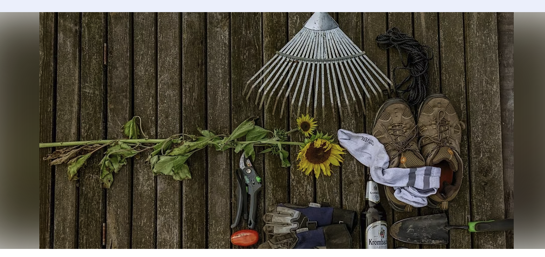 Connecting frustrated gardeners with unloved gardens